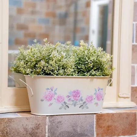 Myflat Kormoran Wellness Apartman *